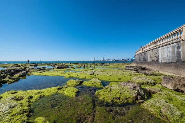 Batu Karang Dan Pelabuhan Dari Teras Mascagni Depan Laut Livorno — Stok Foto