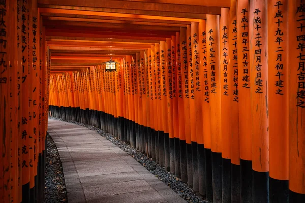 Fushimi Inari Shrine Eller Fushimi Inari Taisha Shintotempel Japansk Monument — Stockfoto