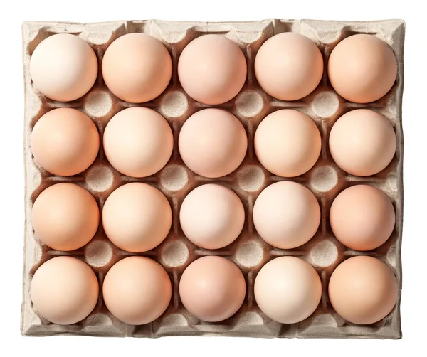 Ovos de galinha em recipiente — Fotografia de Stock