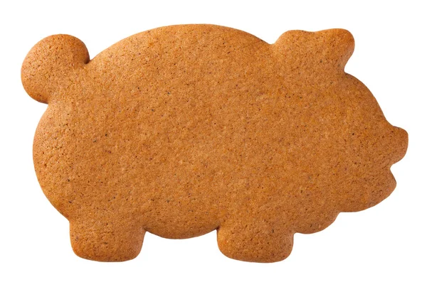 Piernika Cookie Pig — Zdjęcie stockowe