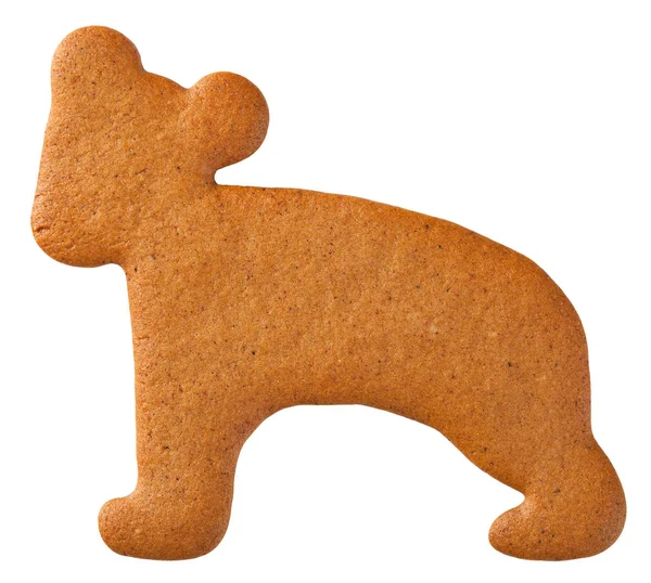 クマのジンジャーブレッドのクッキー — ストック写真