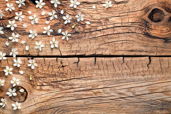 Flores de primavera no fundo de madeira — Fotografia de Stock