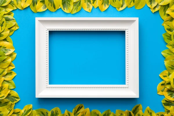 Yapraklarla mavi zemin üzerine beyaz çerçeve — Stok fotoğraf