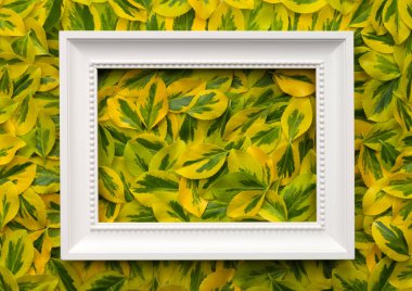 Arka plan için yaprakları ile beyaz çerçeve 