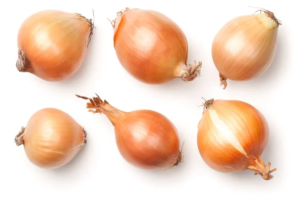 Onion Bulbs Isolated on White Background — Stock Photo, Image