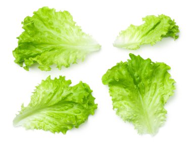 Beyaz arkaplanda marul salatası yaprakları izole 
