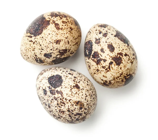 Quail Eggs Isolated on White Background — Stock Photo, Image