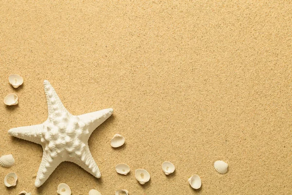 Sommer, Sandhintergrund mit Seesternen und Muscheln — Stockfoto
