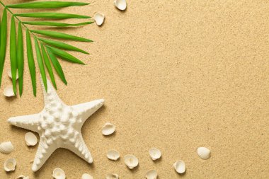 Yeşil palmiye yaprağı, deniz yıldızı ve kabukları ile yaz arka plan