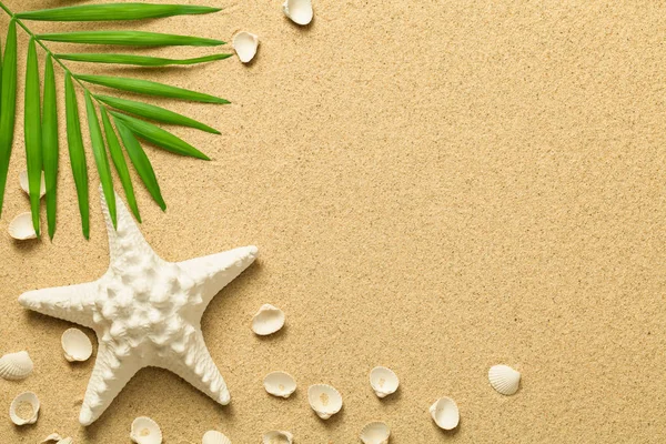 Fondo de verano con hoja de palma verde, estrellas de mar y conchas —  Fotos de Stock
