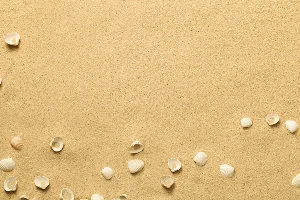 Verano, fondo de arena con conchas —  Fotos de Stock