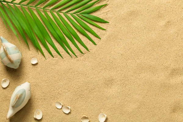 Summer Background with Green Palm Leaf, Fish and Shells — Stock Photo, Image