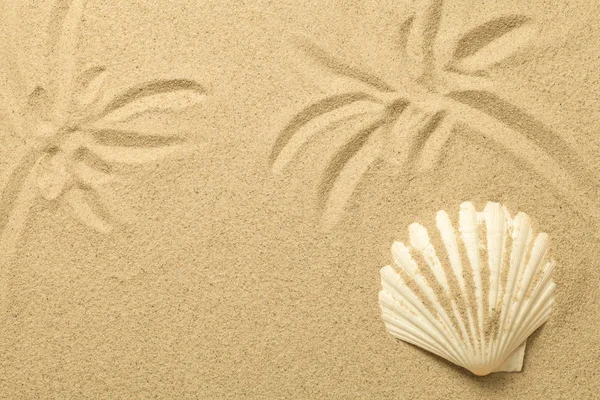 Palme disegnate nella sabbia. Sfondo estivo con Shell — Foto Stock