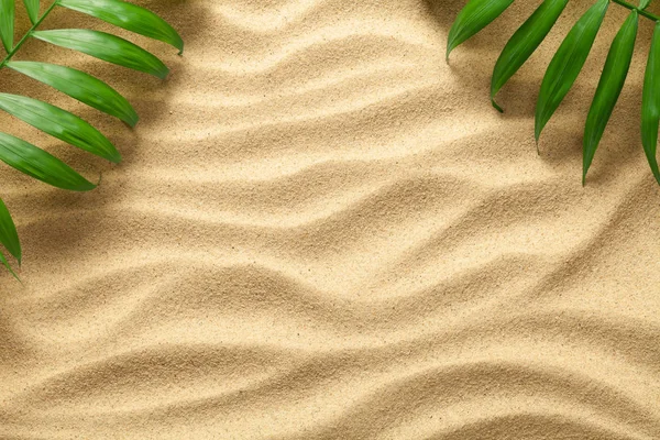 Summer Background with Green Palm Leaves — Stock Photo, Image