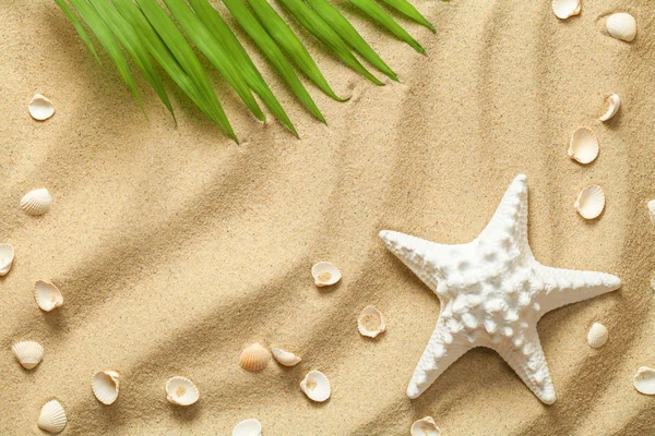 Summer Background with Green Palm Leaf, Starfish and Shells — Stock Photo, Image