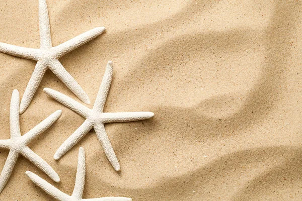 Starfishes Sand Background Top View Flat Lay — Stock Photo, Image