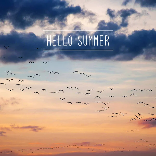 Yaz metin kuşlar kalabalık ile Merhaba — Stok fotoğraf