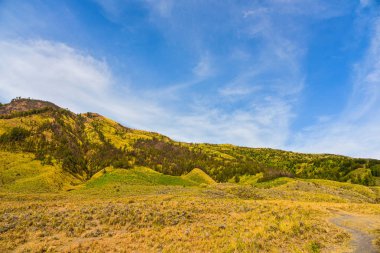 Mount Bromo, savana