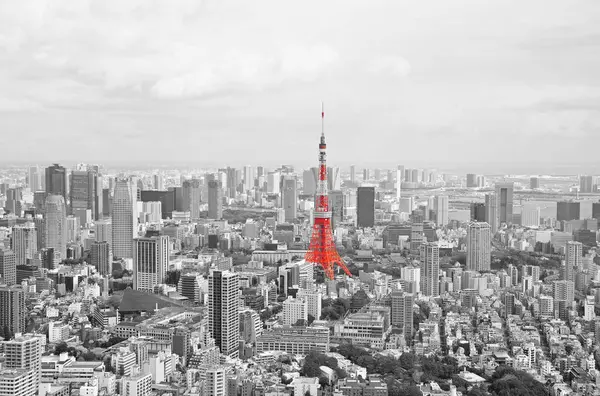 Vista sulla città di Tokyo — Foto Stock