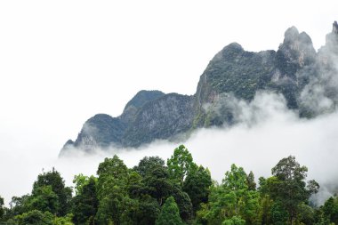 Dağlar Khao Sok Milli Parkı