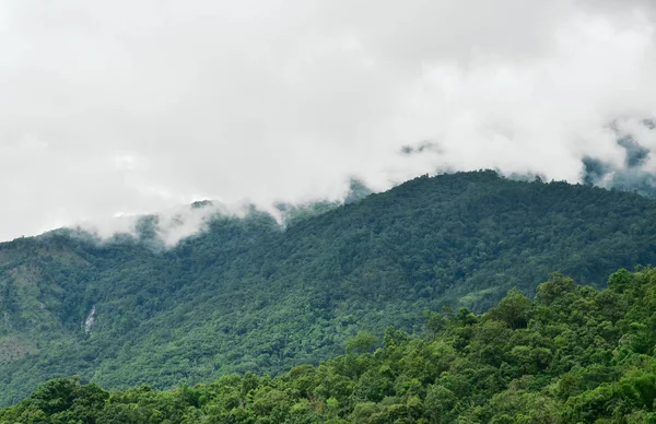 Niebla sobre la montaña en Mae Cham —  Fotos de Stock