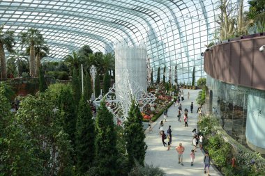 İç bulut orman Dome