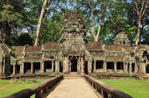 Siem Reap tapınakta ta Prohm