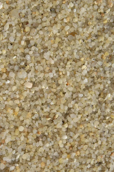 Plaj kıyısında çakıl