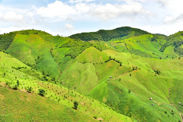 Agriculture de montagne dans le district de Chaloem Phra Kiat — Photo