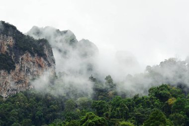 Dağlar Khao Sok Milli Parkı, peyzaj