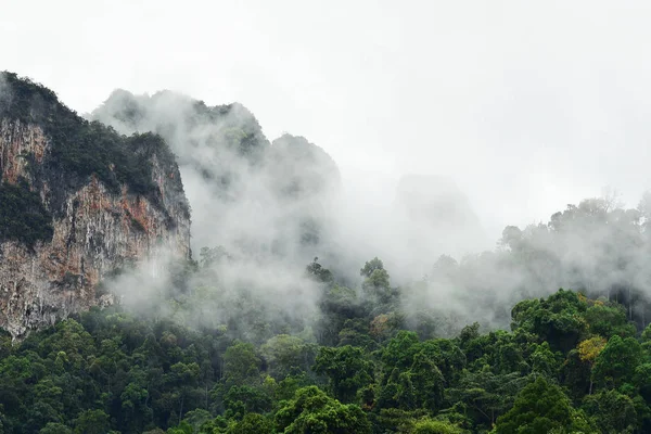 Краєвид гір у національному парку Khao Sok — стокове фото