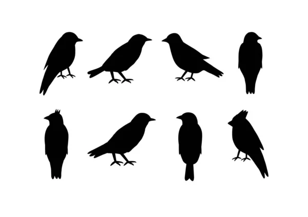 Ensemble de silhouettes d'oiseaux sur fond blanc — Image vectorielle