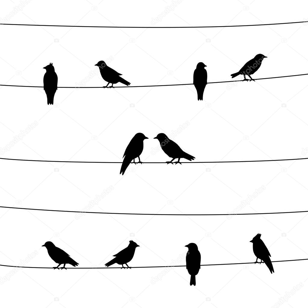 A silhouette of birds on wires. Vector illustration.
