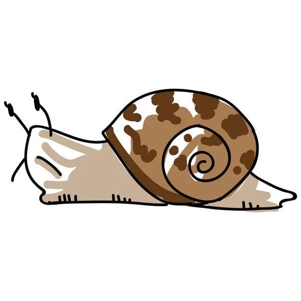 Sketchy garden snail vector illustration. Freehand drawn yard wildlife mollusc clipart. Gastropod shell childish doodle. — Stock Vector