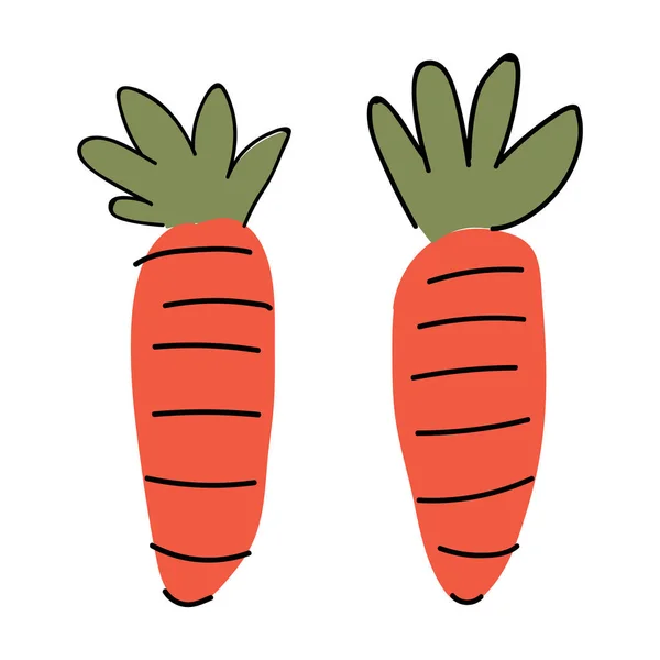 Niedlichen Cartoon Zwei Karotten Gemüse Text Vektor Cliparts Handgezeichnete Bauern — Stockvektor