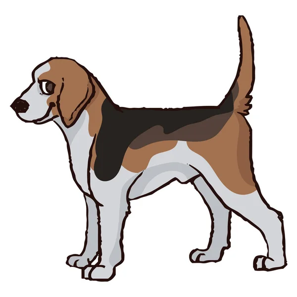 Cute Cartoon Foxhound Hunting Dog Vector Clipart Pedigree Kennel Doggie — Stock Vector