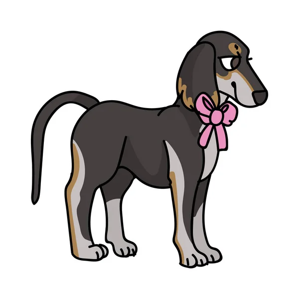 Cute Cartoon Saluki Puppy Dog Girly Bow Vector Clipart Pedigree — Stock Vector