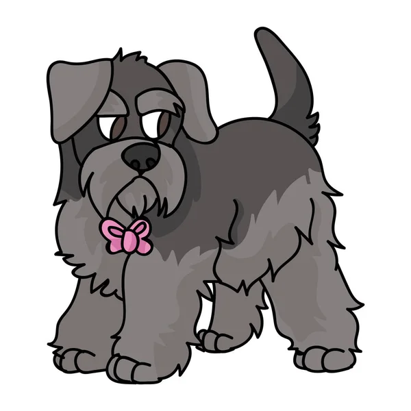 Cute Cartoon Schnauzer Puppy Pink Bow Vector Clipart Pedigree Kennel — Stock Vector