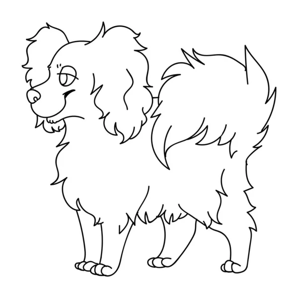 Carino Cartone Animato Papillon Cane Monocromatico Linearte Vettore Clipart Pedigree — Vettoriale Stock