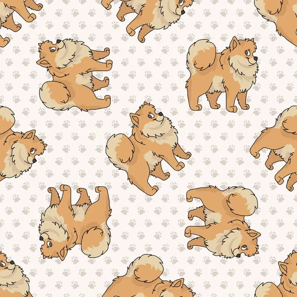 Hand drawn cute pomeranian breed dog seamless vector pattern. Purebred pedigree domestic dog on paw background. Dog lover spitz pet all over print. Kennel pooch. EPS 10. — Stockový vektor