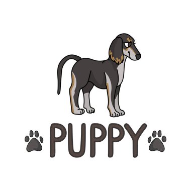 Metin kelime ve pençe izi vektör klibiyle şirin bir saluki köpeği. Köpek sevenler için soylu köpek kulübesi. Evcil hayvan bakımı için safkan köpek. İzole borzoi köpeği. EPS 10. 