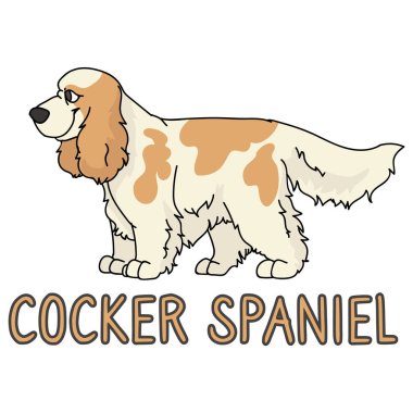 Tatlı çizgi film cocker spaniel köpek cinsi ve metin sözcüğü vektör klipli. Köpek sevenler için soylu köpek kulübesi. Evcil hayvan bakımı için safkan köpek. İzole edilmiş av köpeği. EPS 10. 
