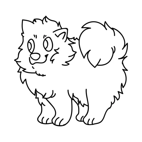 Lindo dibujo animado monocromo lineart cachorro pomerania perro raza vector clipart. Crianza pedigrí perrera perrito para los amantes del perro. Pura raza doméstica para ilustración salón de mascotas. Spitz peludo canino aislado . — Vector de stock