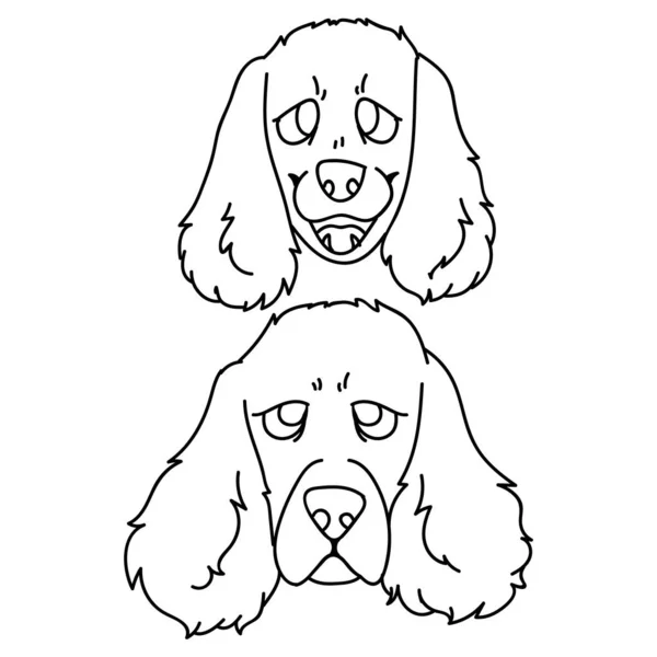 Lindo cartón cocker spaniel perro y cachorro raza cara lineal vector clipart. Pedigree perrito de perrera para los amantes del perro. Mascota doméstica de pura raza para mascotas ilustración salón mascota. Inglés canino aislado . — Archivo Imágenes Vectoriales