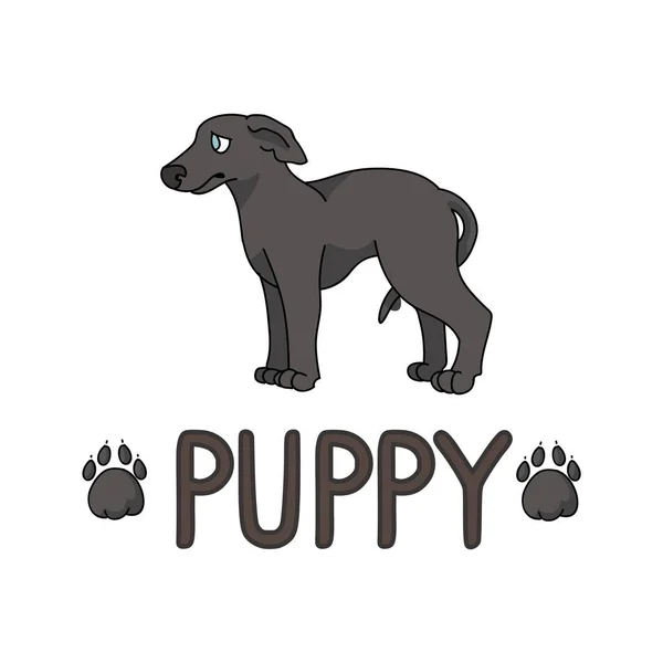 귀엽고 귀여운 만화 그레이하운드 강아지는 문자와 발 프린트 벡터 부분을 가지고 있습니다. 개를 좋아하는 피그 릭 개과의 품종입니다. 애완 동물 파트러 그림을 위한 순종 개 예요. 고립된 빠른 사냥개. EPS 10. — 스톡 벡터