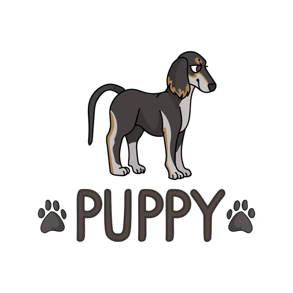 문자와 발 프린트 벡터 부분을 가진 귀여운 만화 살루키 강아지입니다. 개를 좋아하는 피그 릭 개과의 품종입니다. 애완 동물 파트러 그림을 위한 순종 개 예요. 격리 된 붕소 이 사냥개입니다. EPS 10. — 스톡 벡터