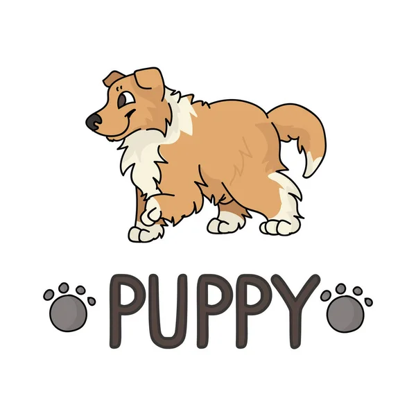 문자와 발 프린트 벡터 부분 이 있는 귀여운 만화의 콜렛 강아지입니다. 개를 좋아하는 피그 릭 개과의 품종입니다. 애완 동물 파트러 그림을 위한 순종 개 예요. 고립된 양견 사냥개. EPS 10. — 스톡 벡터