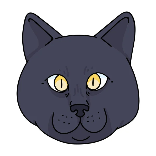 영국의 귀여운 만화 쇼트 에어는 고양이 벡터 클럭 부분이다. 페디 그레 키티는 고양이 애호가들을 위한 품종이다. 애완 동물 보육원 삽화 마스코트를 위해 집에서 키우는 고양이. 고립된 고양이 과의 가정. EPS 10. — 스톡 벡터
