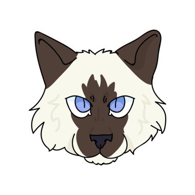 Şirin bir karikatür, oyuncak bebek, kedi yüzlü, vektör klipli. Kedi sevenler için soylu kedi yavrusu. Evcil hayvan salonu illüstrasyon maskotu için safkan evcil kedi. İzole kedi barınağı. EPS 10. 