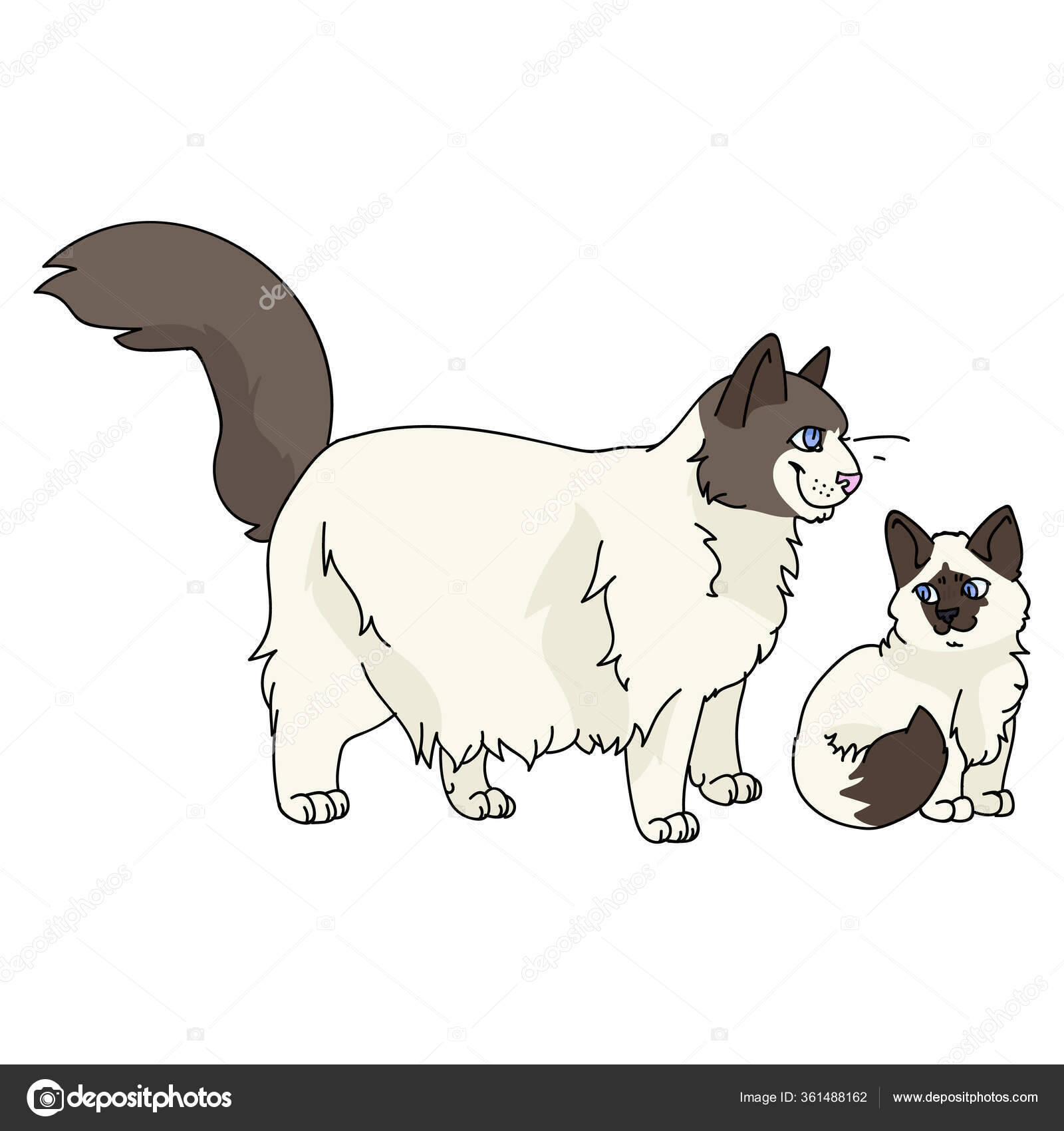 Lindo dibujo animado ragdoll gato y gatito vector clipart. Cría de gatitos  pedigrí para los amantes, image size:1600x1700